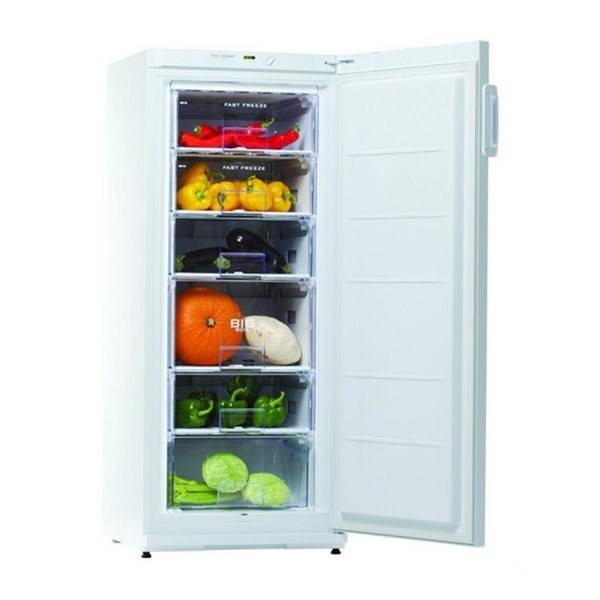 Snaige Ice Logic F22SM-T10002 recenze a test