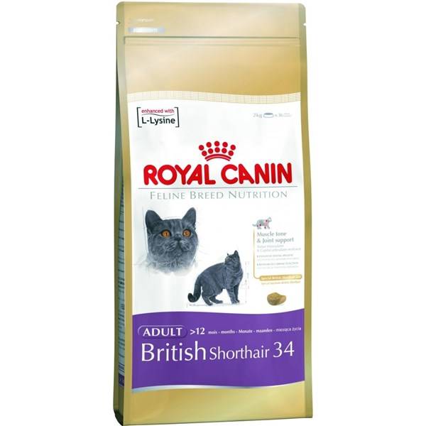 Royal Canin British Shorthair recenze a test